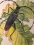 INVENTARIO ILUSTRADO DE INSECTOS - comprar online