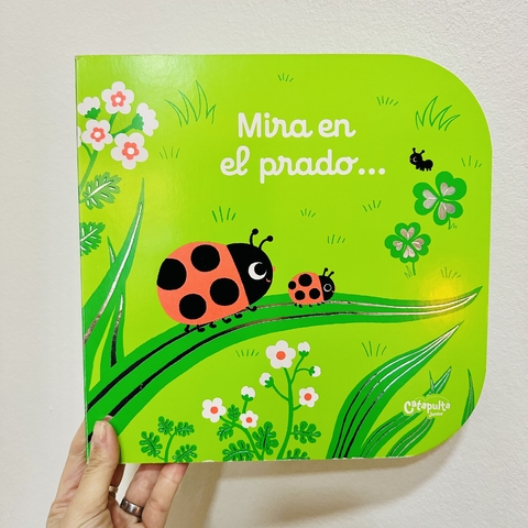 MIRA EN EL PRADO...