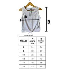 BLUSA ORIANA en internet