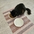 Petmat ¨Cozy Boston¨ en internet