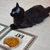 NYC Pets ( PetMat cuadrado para mascotas) - comprar online