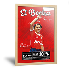 El Bocha en internet