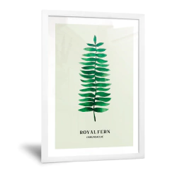 Royal Fern - Tienda Roots