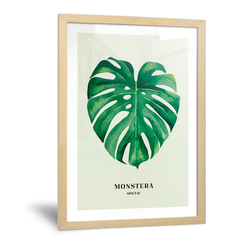 Imagen de Combo Hojas Tropicales