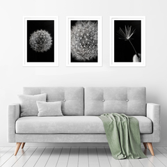 Combo Flor Dandelion - Tienda Roots