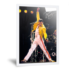 Freddie Mercury en internet