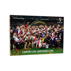 River Campeón Copa Libertadores