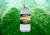 Hidrolato de Ginkgo Biloba - comprar online
