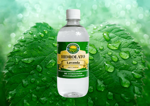 Hidrolato de Lavanda