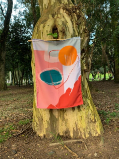 Bandeira Acalmia na internet