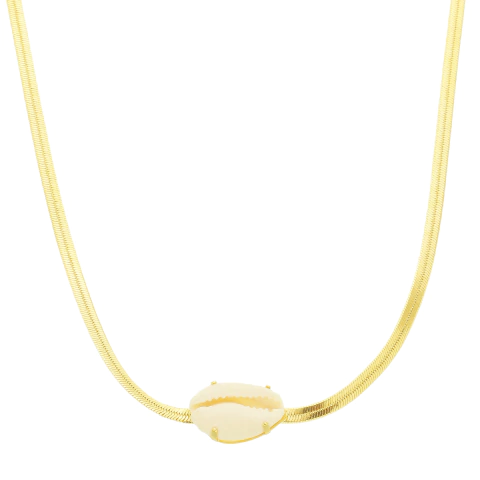 Colar Laminado Búzio Banhado a Ouro 18K