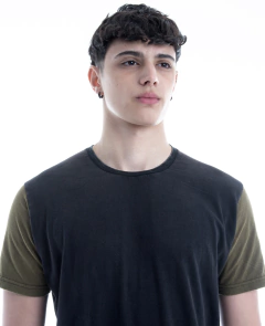 Remera Regular Fit Modelo HAUN en internet