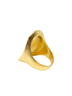 Imagem do ANEL CAJUEIRO