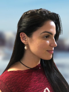 COROA DO AVIÃO - Creative Brazil