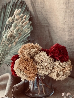 Hortensias ☆ Dried Flowers Collection - comprar online