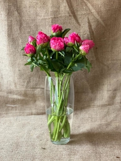 Peonías ✱ Seasonal Flowers