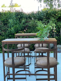 Combo 13 | Mesa Banquete + Livings (50 personas)