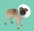 Banner de Imporpet Argentina