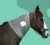 Banner de Imporpet Argentina