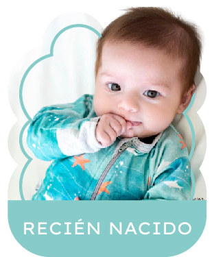 Categoría 1