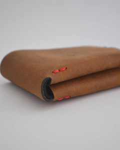 Billetera | Cerro Mercedario en internet