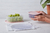 Plato Postre Traslúcido - Transparente - comprar online