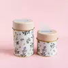 Set yerberas, azucarera flores silvestre