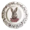 Plato ilustrado Coneja
