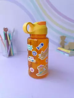 Botella kits 500ml en internet