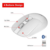 Imagen de Mouse Inalámbrico Dual 2.4g Y Bluetooth Recargable Tipo C DN-N616