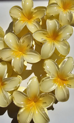 Broche Flower - tienda online