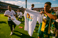 Remera Campeón adultos