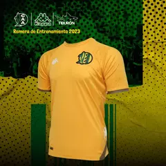 REMERA ENTRENAMIENTO YELLOW 2023 (H008) - comprar online