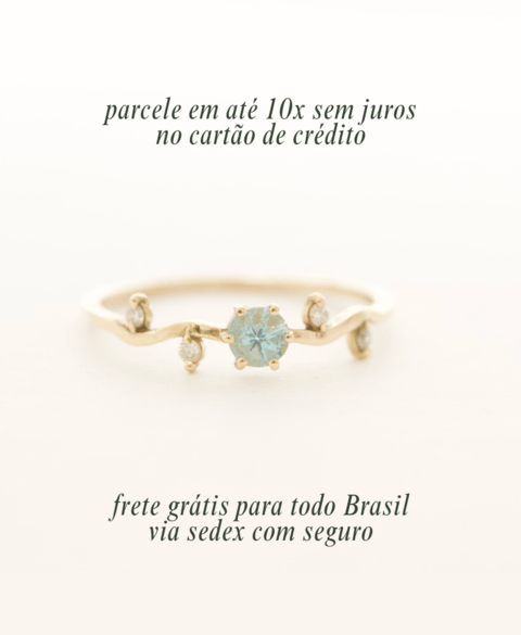 Carrossel 1