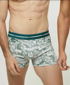BOXER ALG&LYC ESTAMPADO - G3 - ART. 3245 - comprar online