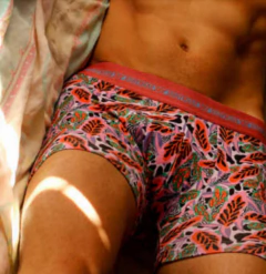 BOXER HOMBRE ALG&LYC ESTAMP. PINZA CENTRAL - XY - ART. 1305