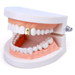 Parrilla para Dientes Grillz Strass Zircon Dorado en internet
