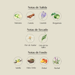 Afnan 9pm Pour Homme Edp 100ml en internet