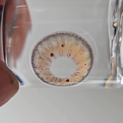 Lentes de Contacto Efecto Real BlackSpot Iris Marron - online store