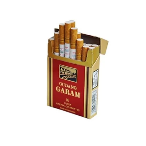Cigarrillos Gudang Garam Professional
