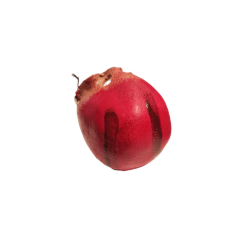 Nariz payaso Border Gore