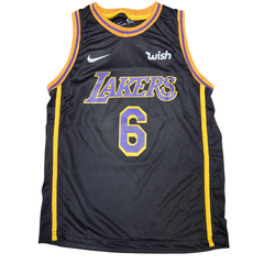 Remera Casaca Musculosa NBA Niños Los Angeles Lakres James 6