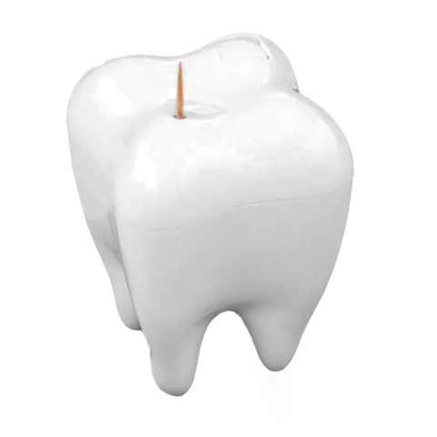 Dispenser Porta Escarbadientes Muela Importado