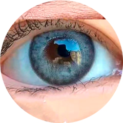 Lentes de Contacto Efecto Real Blackspot Iris Gray - comprar online