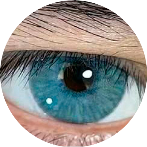 Lentes de Contacto Efecto Real Shaco Blue - comprar online