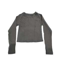 Top Manga Larga Grey Envy Cuello Redondo - comprar online