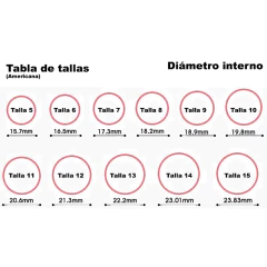 Anillo Campeonato Champion Ring Miami Heat James 2013 - tienda online