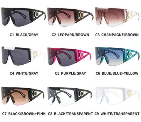 Gafas De Sol Una Pieza De Invierno De Lujo Gran Angular 81