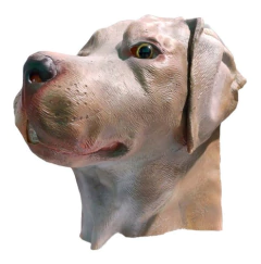 Mascara De Latex Labrador 2 Disfraz Halloween Importadas