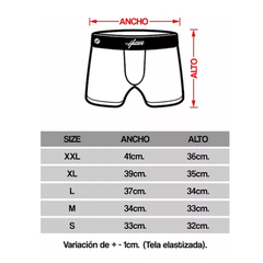 Boxer GTA San andreas en internet